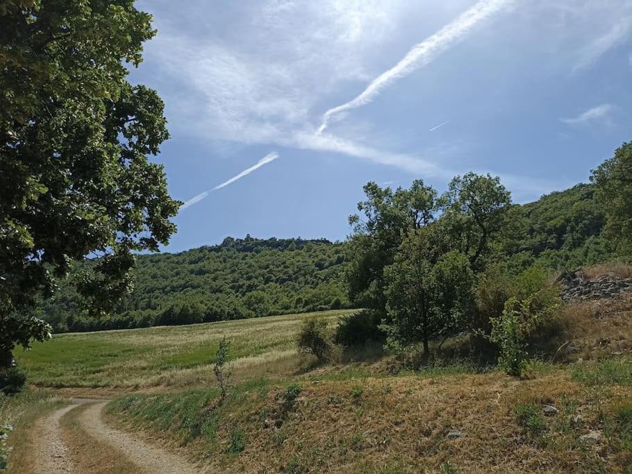 Gite Avec Piscine "La Maison De Valentine" En Provence Montsalier Εξωτερικό φωτογραφία