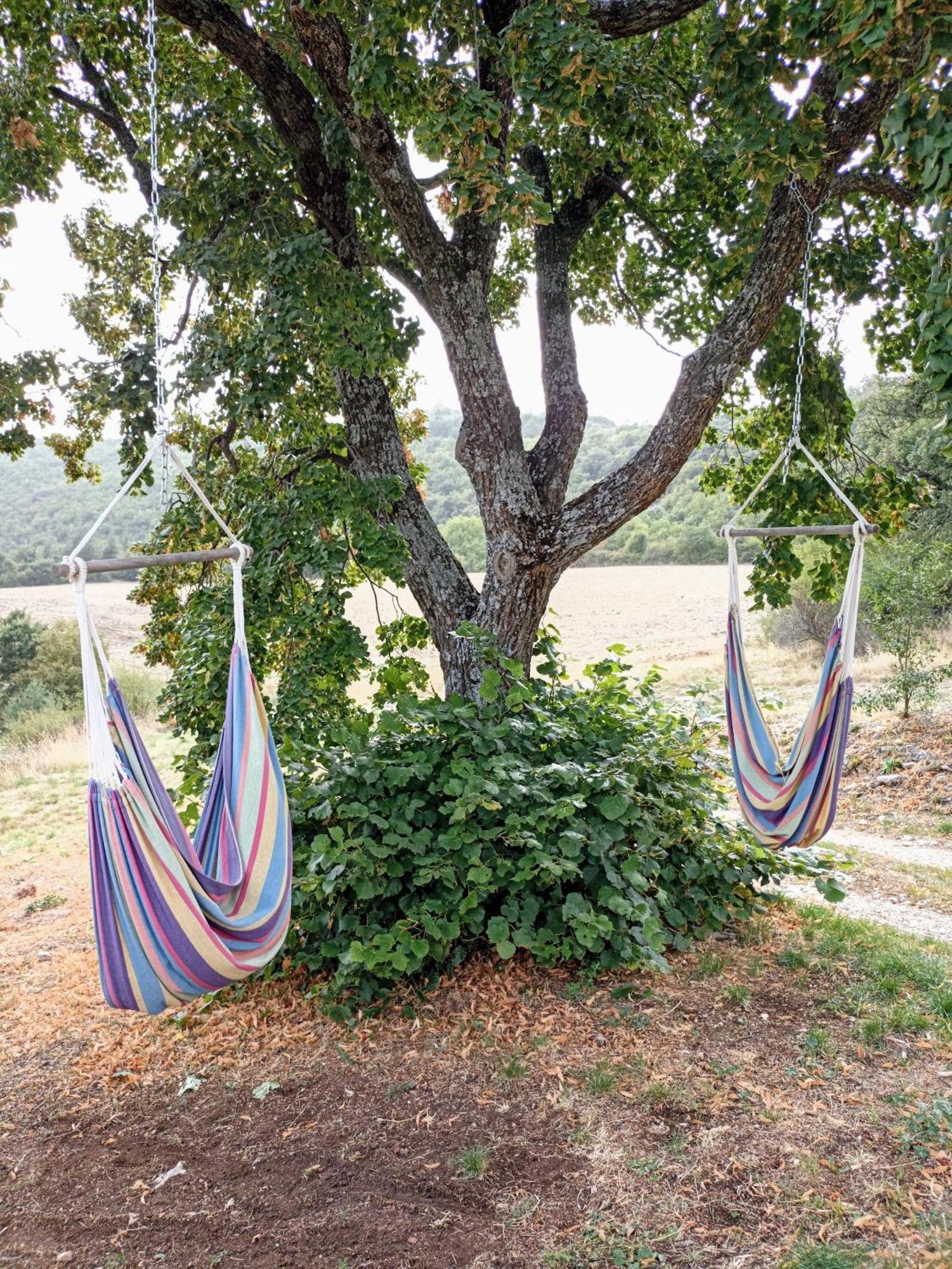 Gite Avec Piscine "La Maison De Valentine" En Provence Montsalier Εξωτερικό φωτογραφία